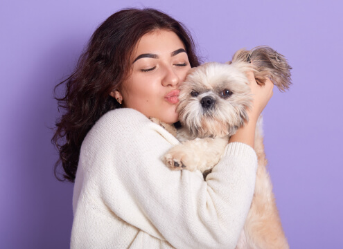 Adventure-Ready: How to Gear Up Your Dog for Every Season