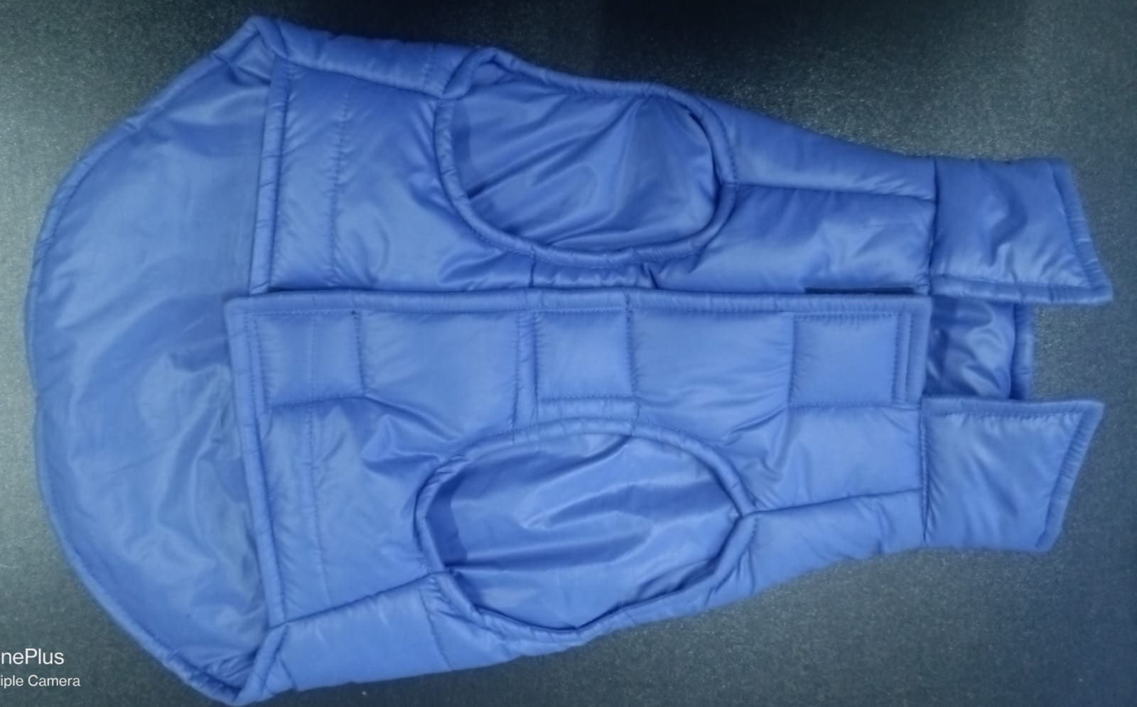 Blue padded jacket