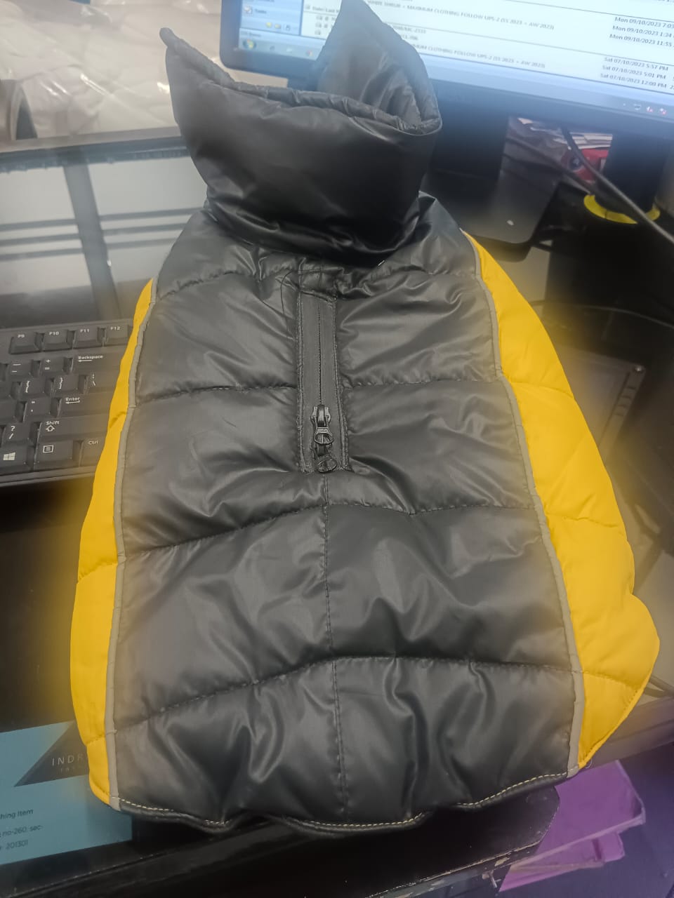 Gray & yellow jacket