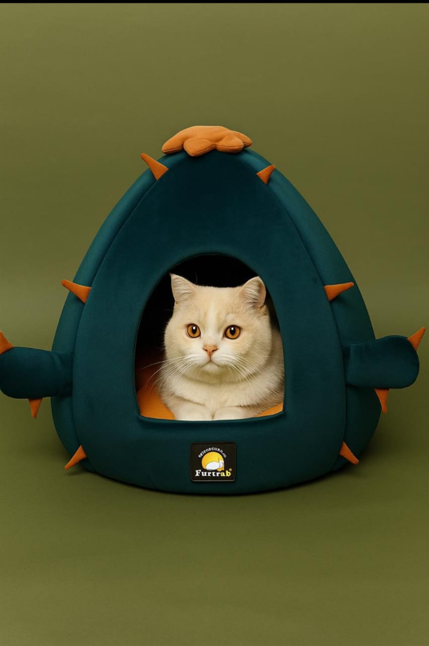 Igloo Pet House – Green with Print