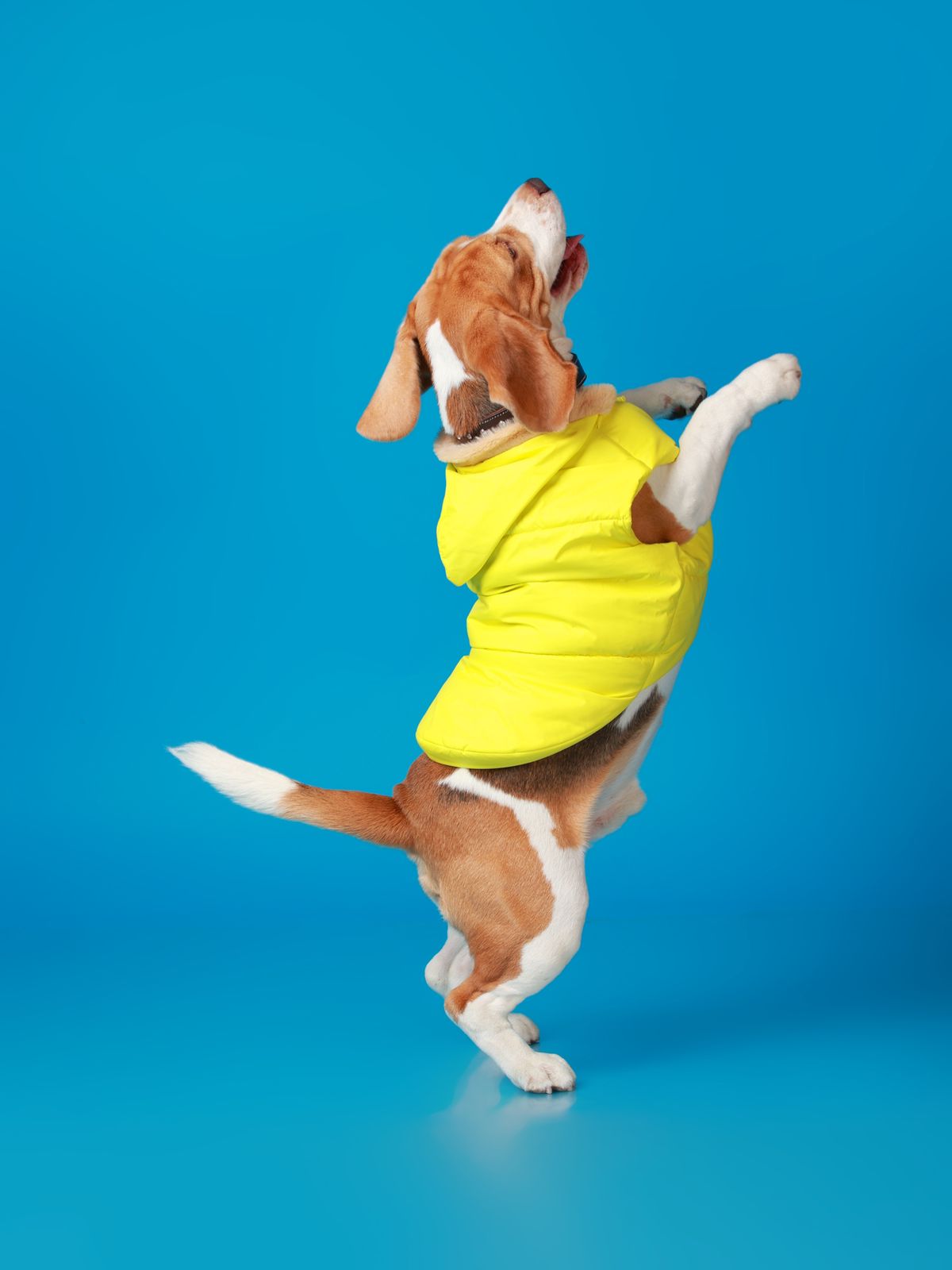 OutdoorPro Sport Jacket