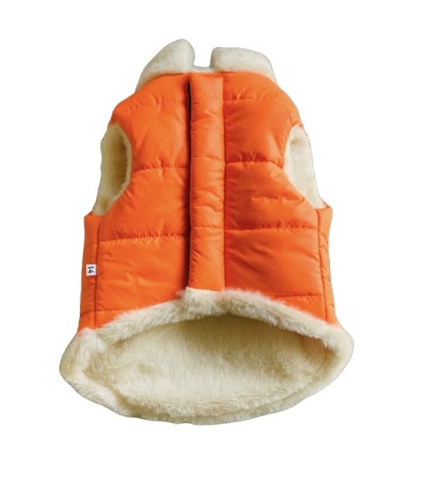 Stylish Winter Clothes for Dogs