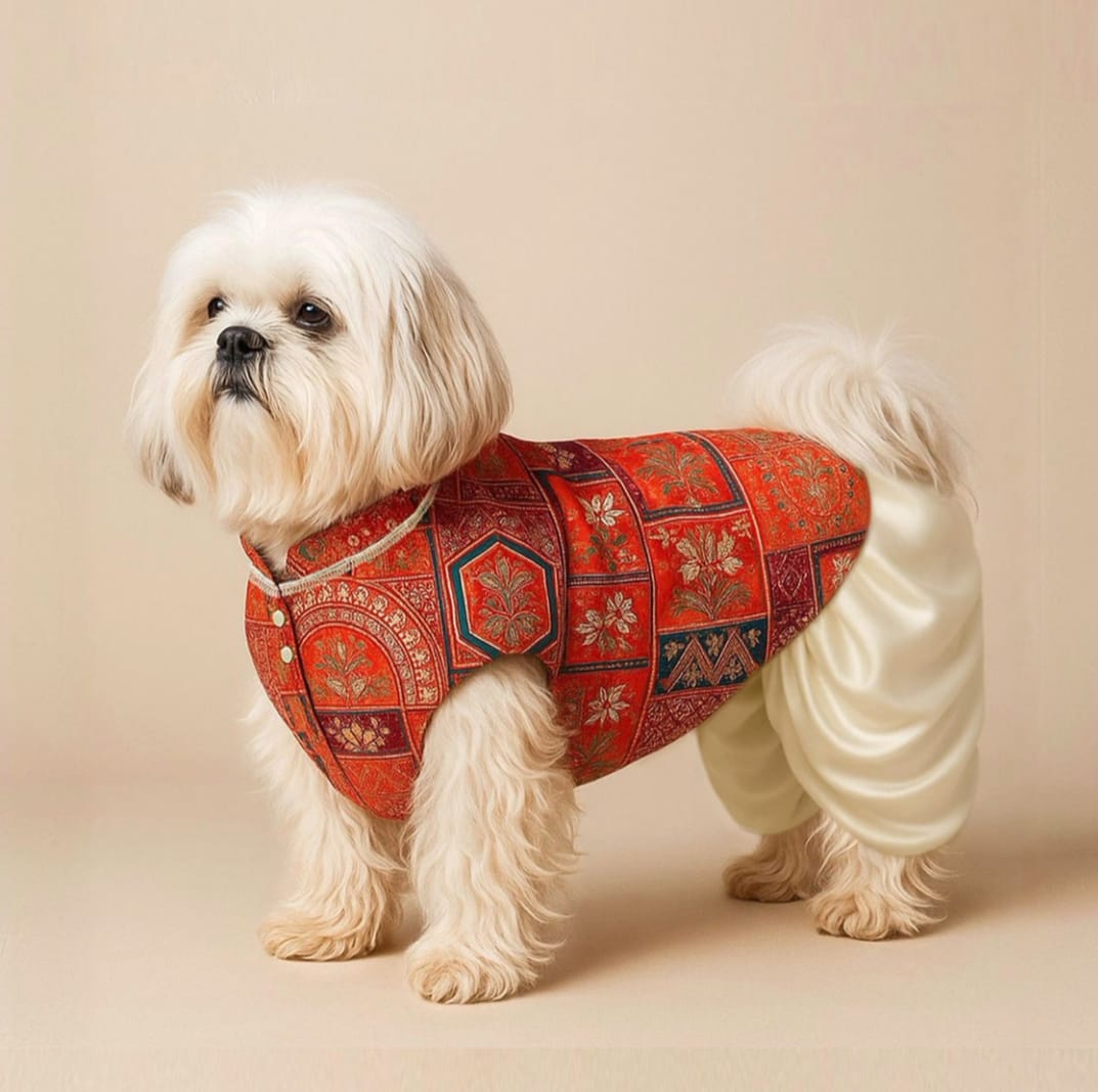 Traditional Orange Printed Jacket