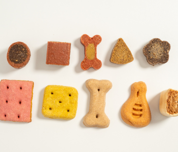 Dog Food, Biscuits & Treats