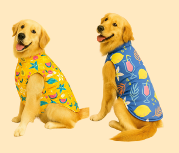 Pets Traditional Wear