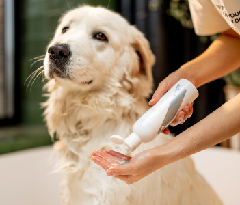 Pet Shampoo & Perfumes
