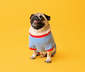 Summer & Winter T-Shirts